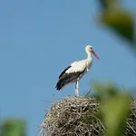 Farm stay Solar De Rabal Braganca